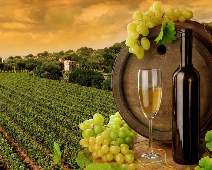 Vineyard Landscape with Grapes and Wine Barrel
