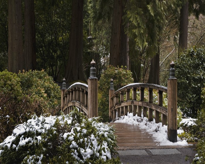 Wooden bridge covered in snow in a garden