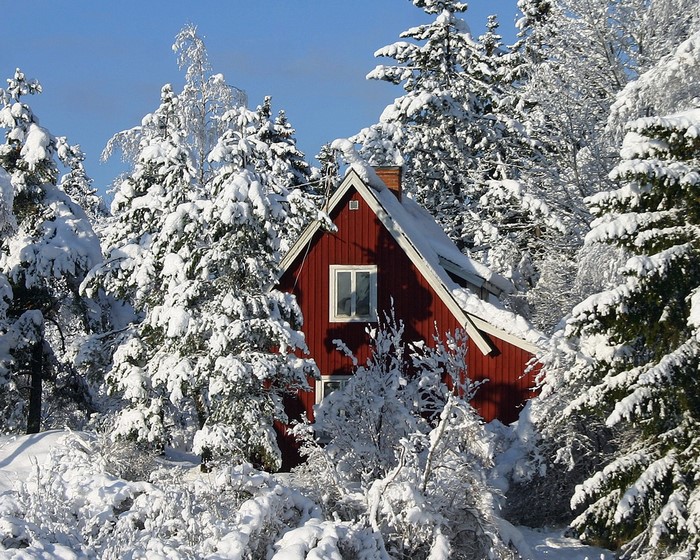 Red house in a snow-covered forest
