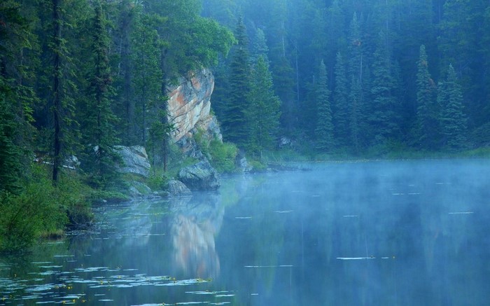 Misty lake with rocky cliff and pine forest