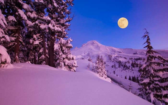 Snowy mountain landscape with moon and trees