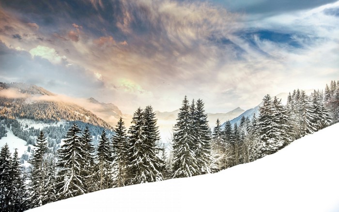 Snowy mountain landscape with pine trees and cloudy sky