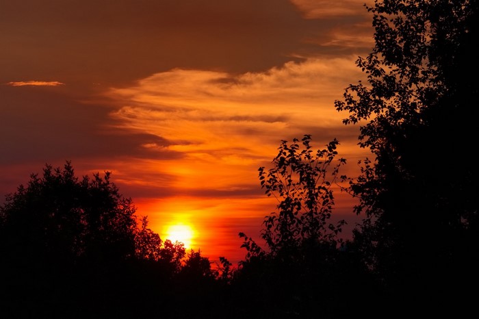Sunset with silhouetted trees and clouds