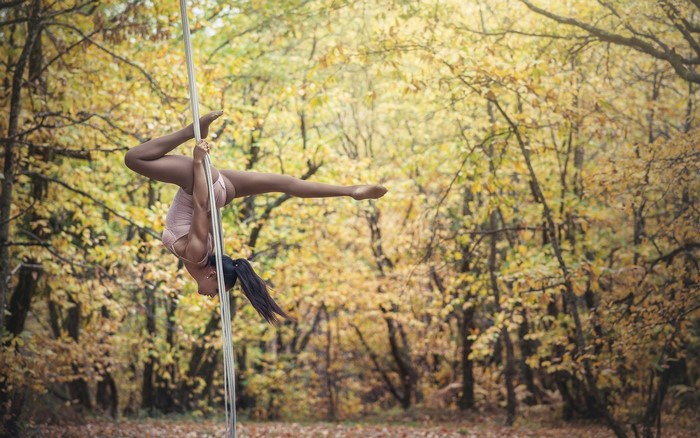 Woman Performing Pole Gymnastics in Autumn Forest