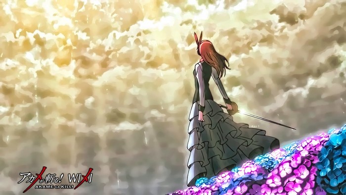 Akame ga Kill! WiX! screenshot