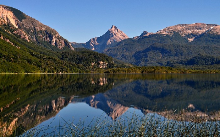Mountain lake reflection with reeds in foreground