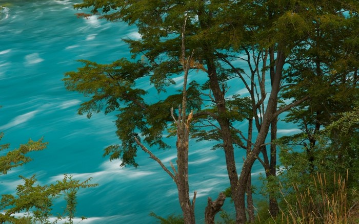 Turquoise river flowing past trees in Chile