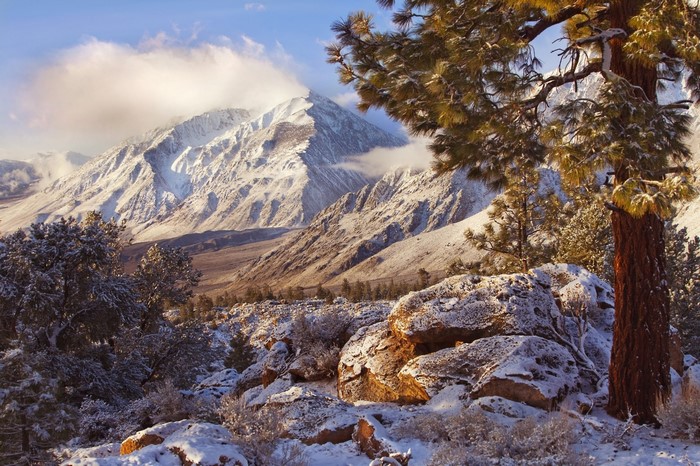 Snow-covered mountain landscape with pine trees and rocks