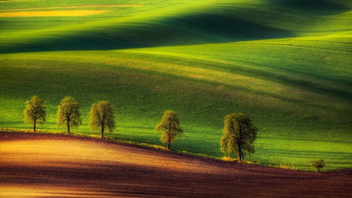 1094093 Sunlight Trees Landscape Hill Nature Grass Sky Field