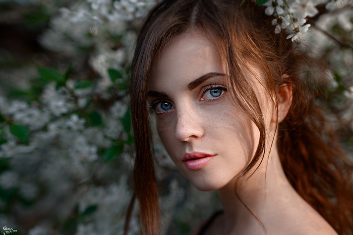 face, sunlight, forest, women, model, portrait, blue eyes, photography ...