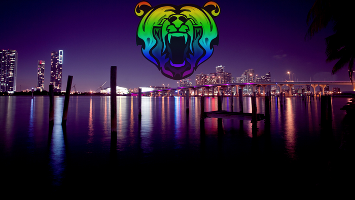 Rainbow Bear Logo Over Miami Skyline at Night