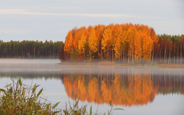 Autumn trees reflected in a misty lake