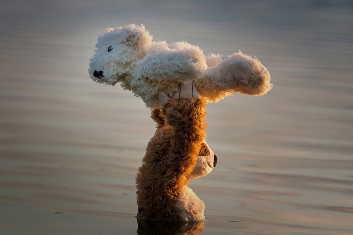 Teddy bears balancing in water