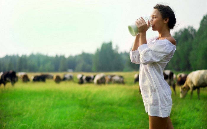 Woman drinking milk in a pasture with cows