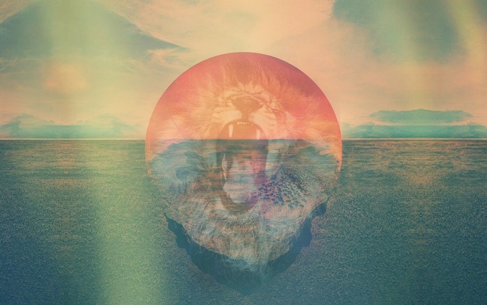 Lion face reflected in water at sunrise over the sea