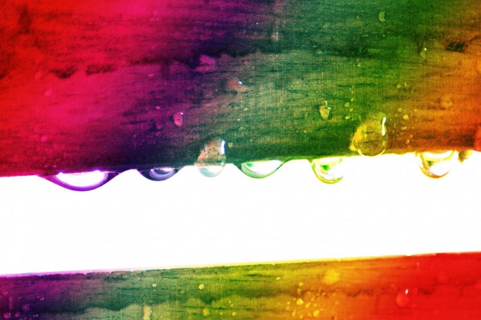 Rainbow colored wood with water drops