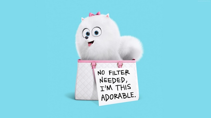 Best Animation Movies of 2016, gidget, The Secret Life of Pets, cartoon