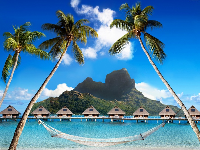 Overwater bungalows and palm trees in Bora Bora