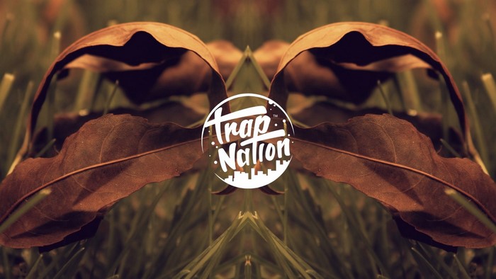 Trap Nation logo over autumn leaves and grass