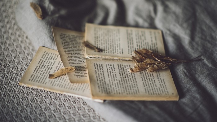 Open books with dried leaves on a textured surface