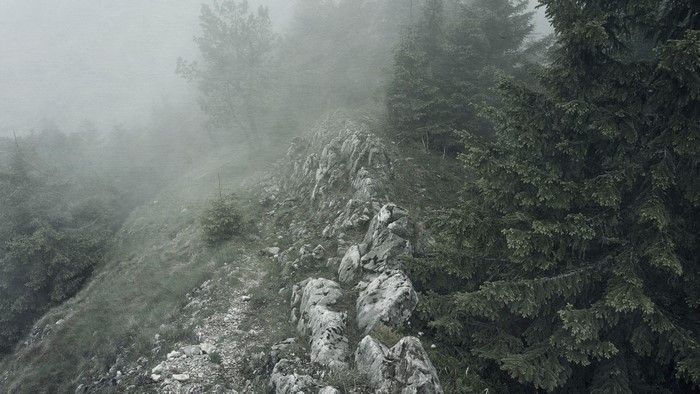 Misty mountain ridge with pine trees and rocks