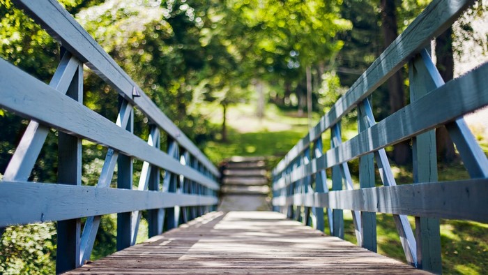 Wooden bridge with blue railings in a park
