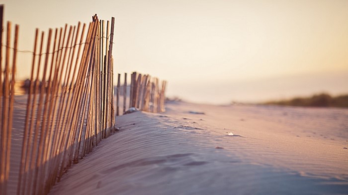 Wooden fence on a sandy beach at sunset