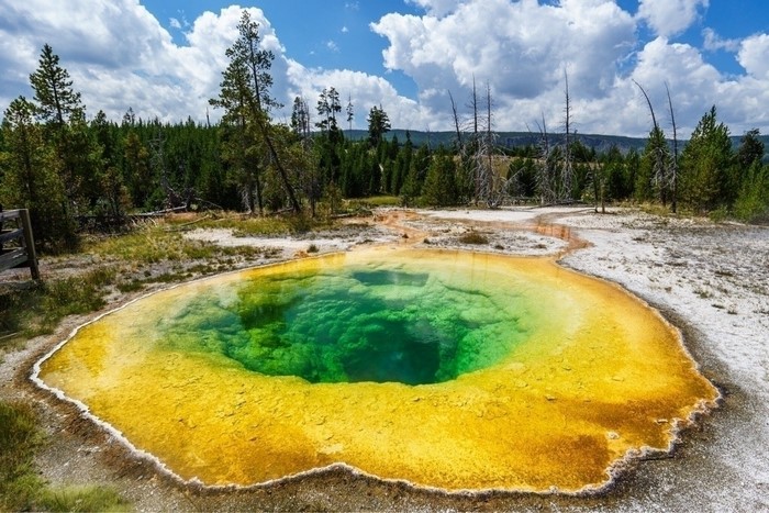 Morning Glory Pool in Yellowstone National Park