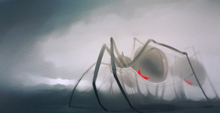 Spider with red markings in a foggy environment