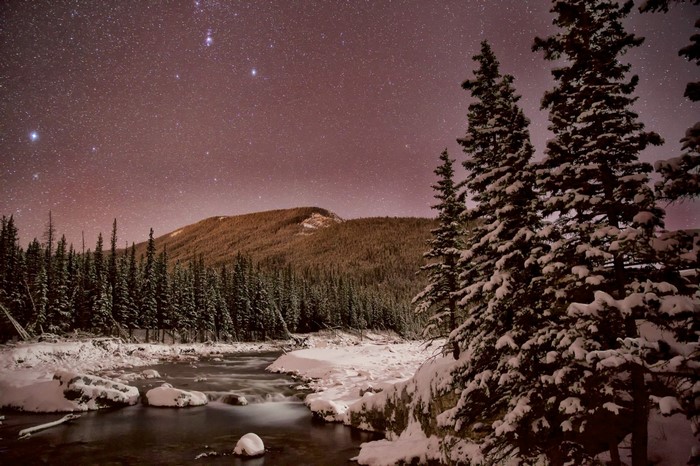 Snowy forest and river under a starry night sky