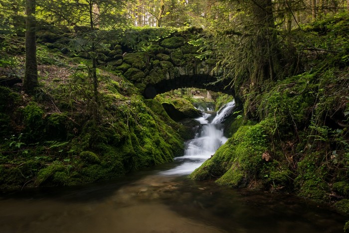 Stone bridge over a waterfall in a mossy forest