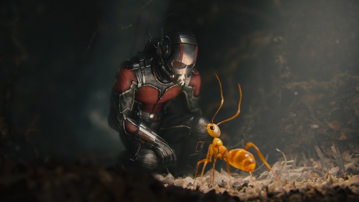 Ant-Man with an ant