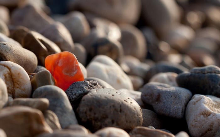 Close up of a single orange pebble among many grey pebbles