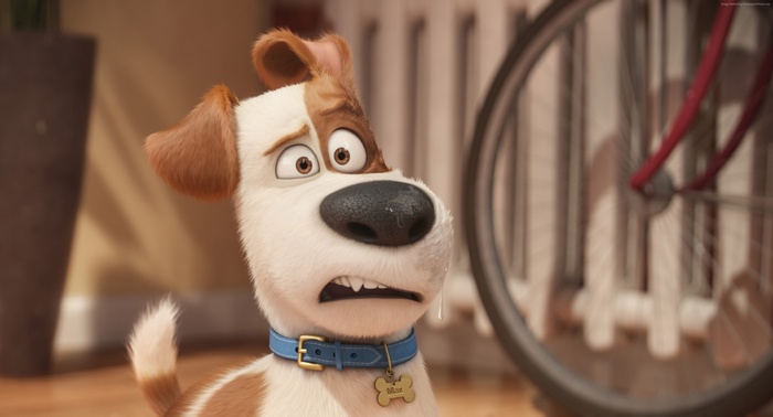 Max from The Secret Life of Pets