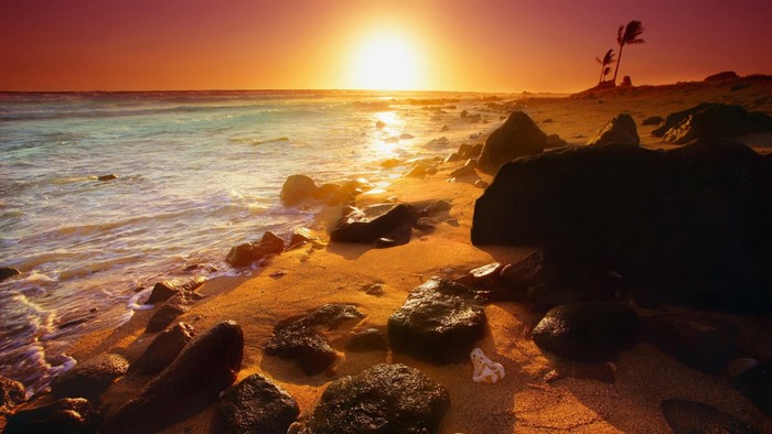 Sunset over a rocky beach with palm trees