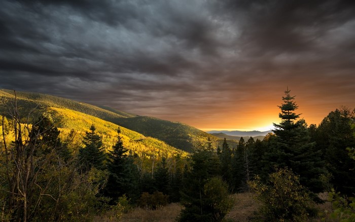Mountainous landscape with autumn trees at sunset