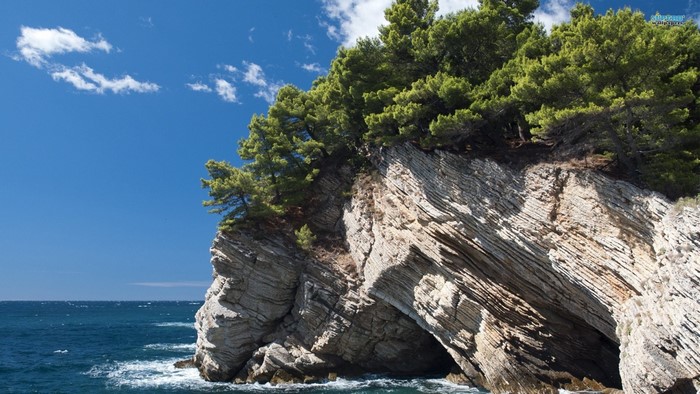 Rocky cliff with pine trees overlooking the sea