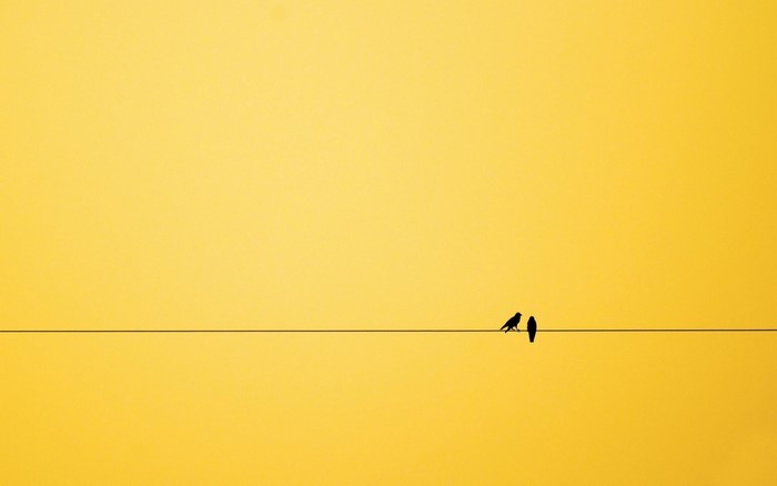 Two birds silhouetted on a wire against a yellow sky