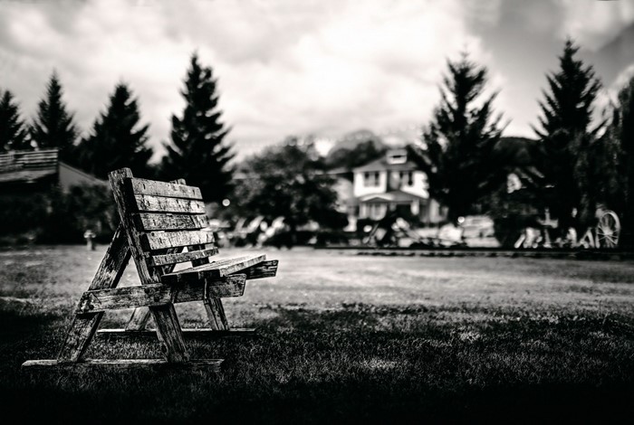 Wooden bench in front of a house and trees