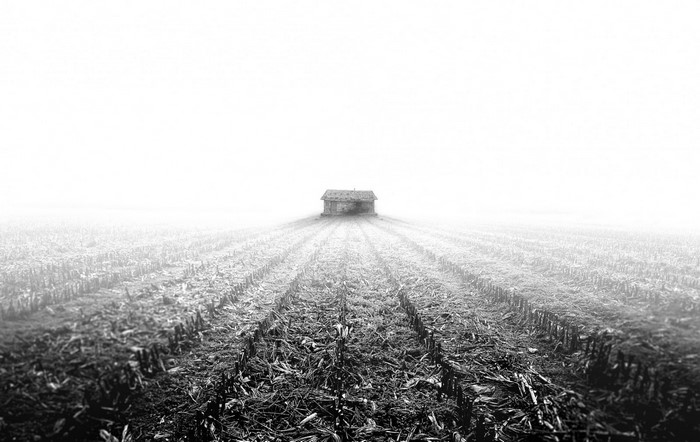 Monochrome landscape with a house in a foggy field