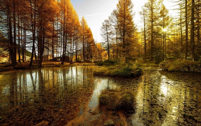 Autumn forest reflected in a calm lake at sunset