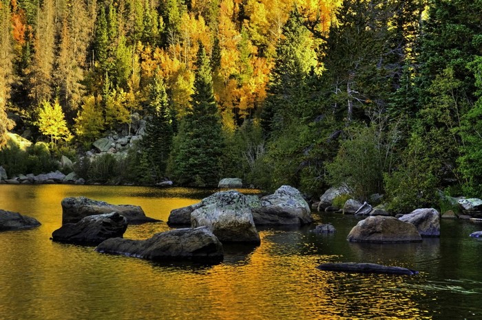 Autumn forest reflected in a mountain lake with rocks
