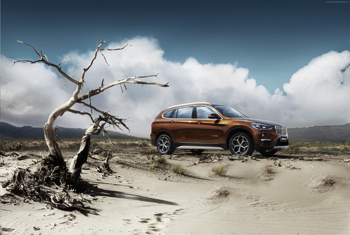 BMW X1 xDrive25i crossover in a desert landscape