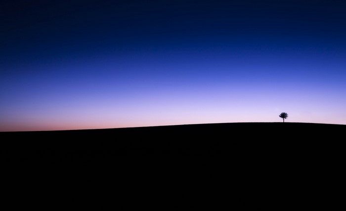 Silhouette of a lone tree on a hill at dusk