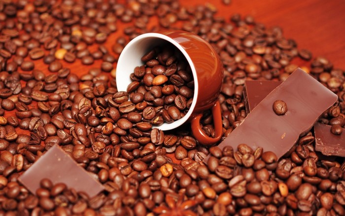 Coffee beans spilling from a cup with chocolate bars