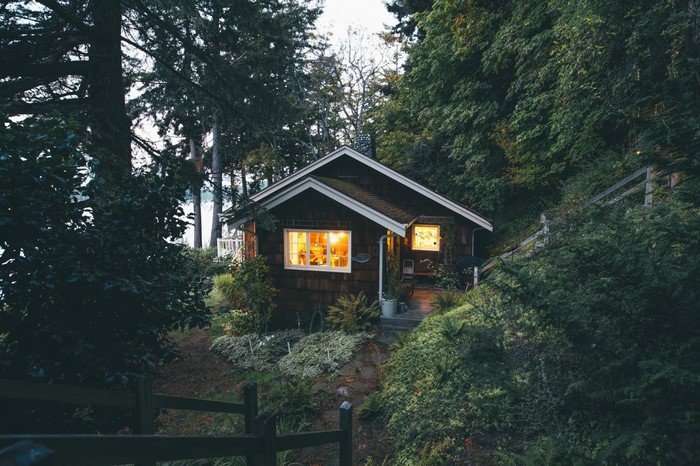Cozy cabin in a forest setting