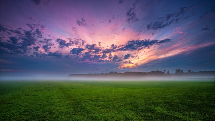 Purple and pink sunset over a misty green field