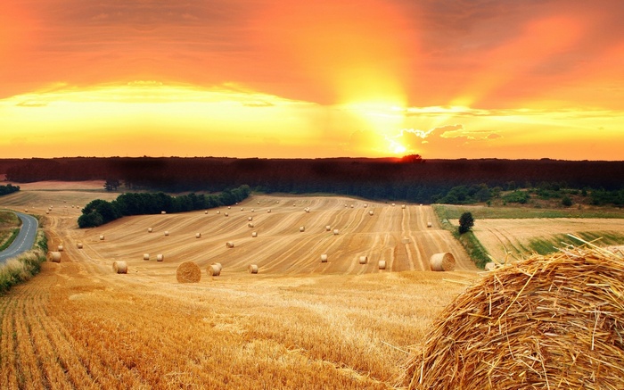 Sunset over a harvested wheat field with hay bales