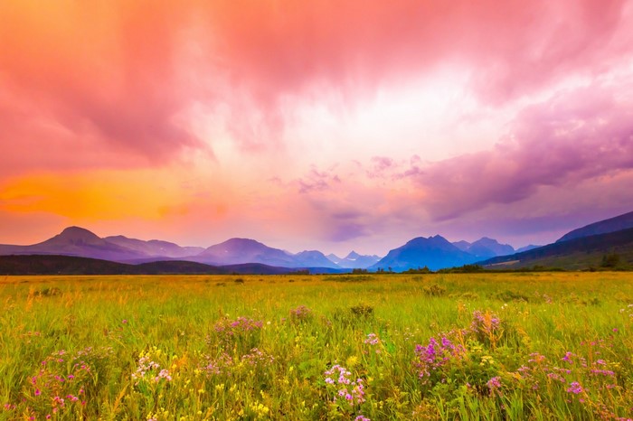 Sunlight, Landscape, Birds, Sunset, Hill, Nature, Grass, Sky, Field