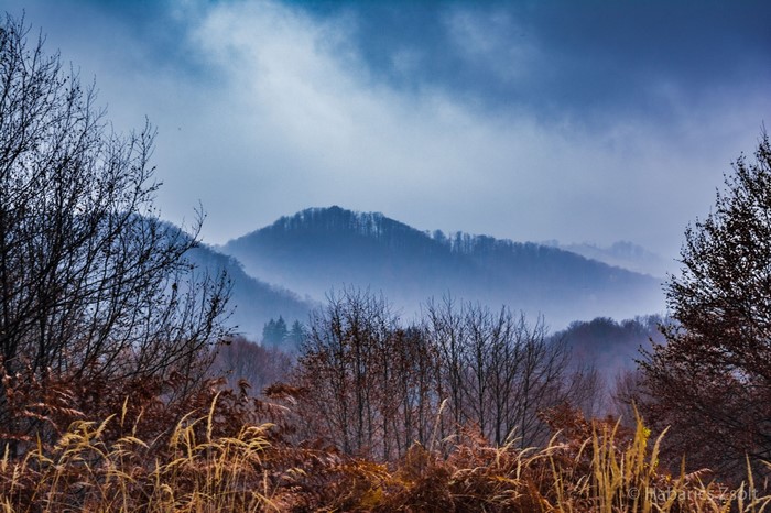 Misty mountains and bare trees in autumn fog
